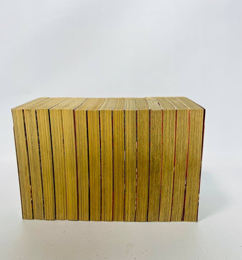 全15巻 明王伝レイ 全巻完結　菊池としを 明王伝レイ 全15巻完結 [マーケットプレイスセット] | 菊池とし